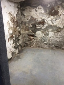 michigan basement repair before